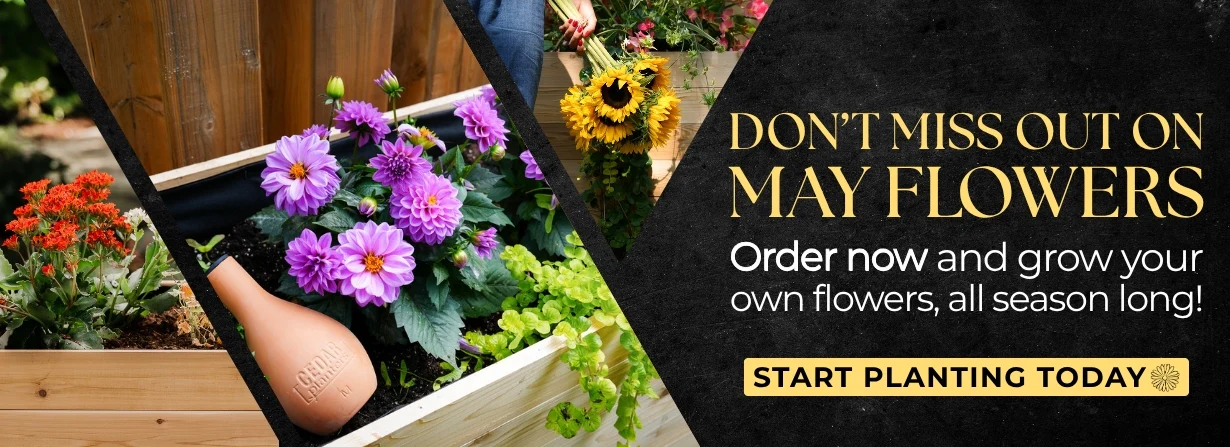 Elevated Gardening Made Effortless